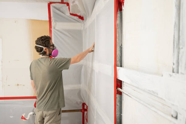 Best Mold Remediation for Healthcare Facilities  in Haliimaile, HI