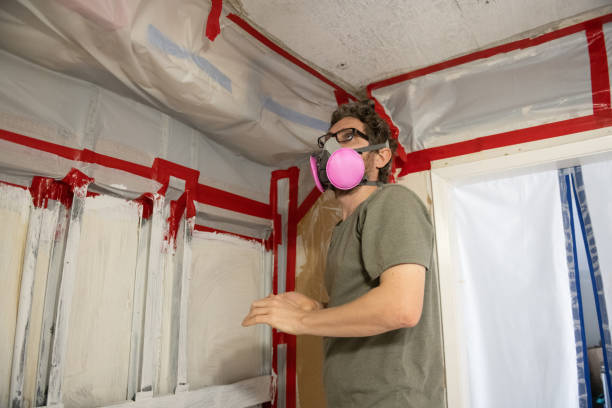 Best Basement Mold Removal  in Haliimaile, HI