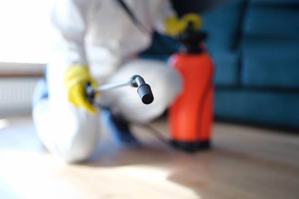 Best Asbestos and Lead Testing During Mold Inspection  in Haliimaile, HI